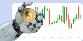 Reign Vermothal cryptocurrency exchange platform dashboard view